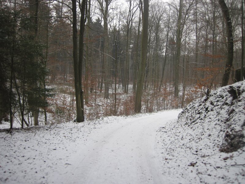 CTF Kattenberg 129